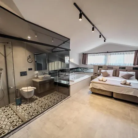 Luxurious W Pool Sauna Patio In *